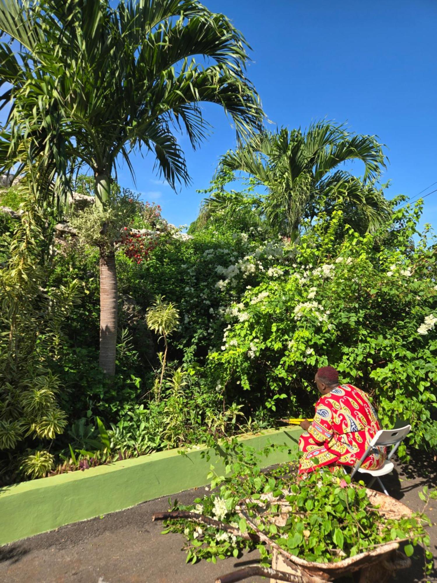 Eve'S Rockaway Villa Alligator Pond Exterior foto