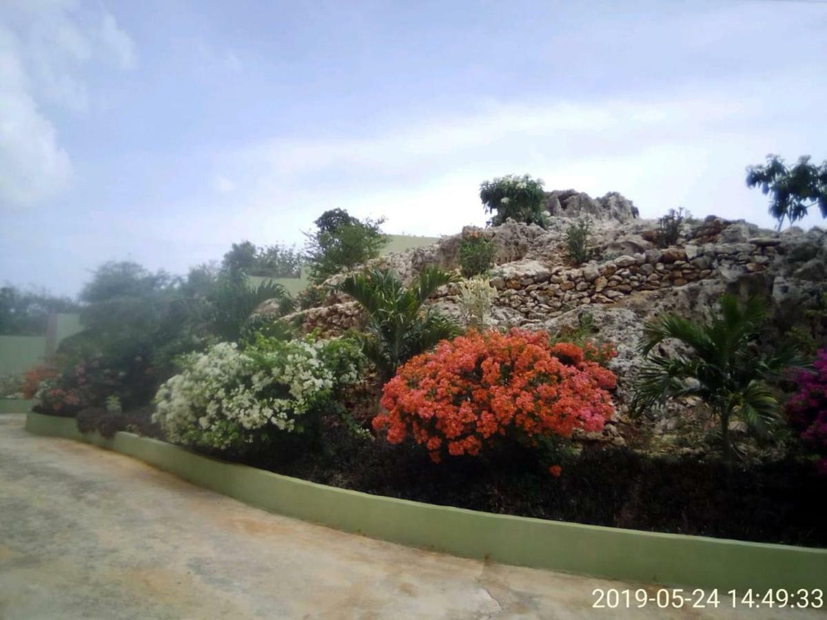 Eve'S Rockaway Villa Alligator Pond Exterior foto
