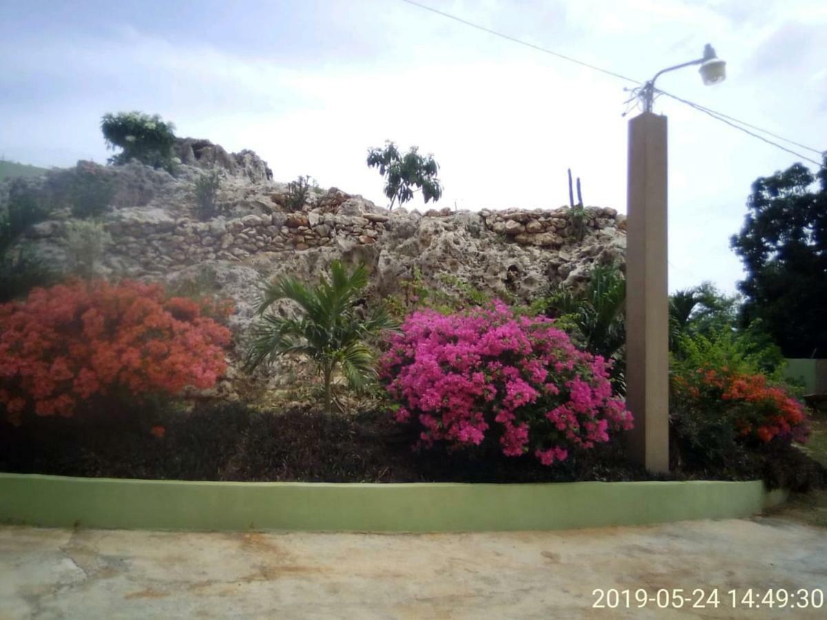 Eve'S Rockaway Villa Alligator Pond Exterior foto